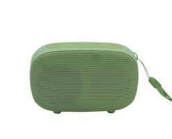 Classical Oval Speakers 1