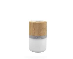 Bamboo Speakers With Light 1