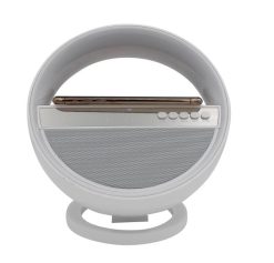 Light-up Wireless Charger Speakers 3