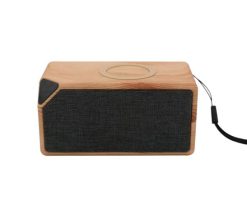 Wireless Charger Speakers 1